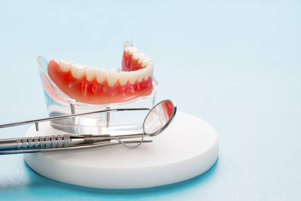 Professional Holistic Dental Care Services in Lebanon, IN